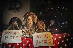 buon-natale2016